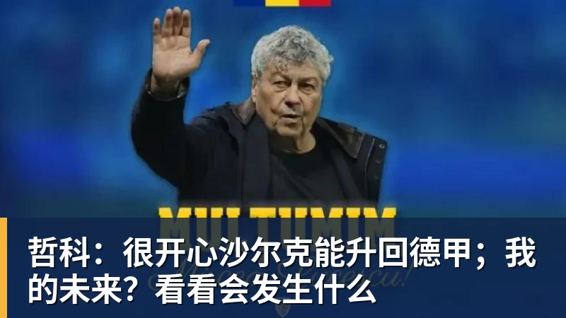 哲科：很开心沙尔克能升回德甲；我的未来？看看会发生什么